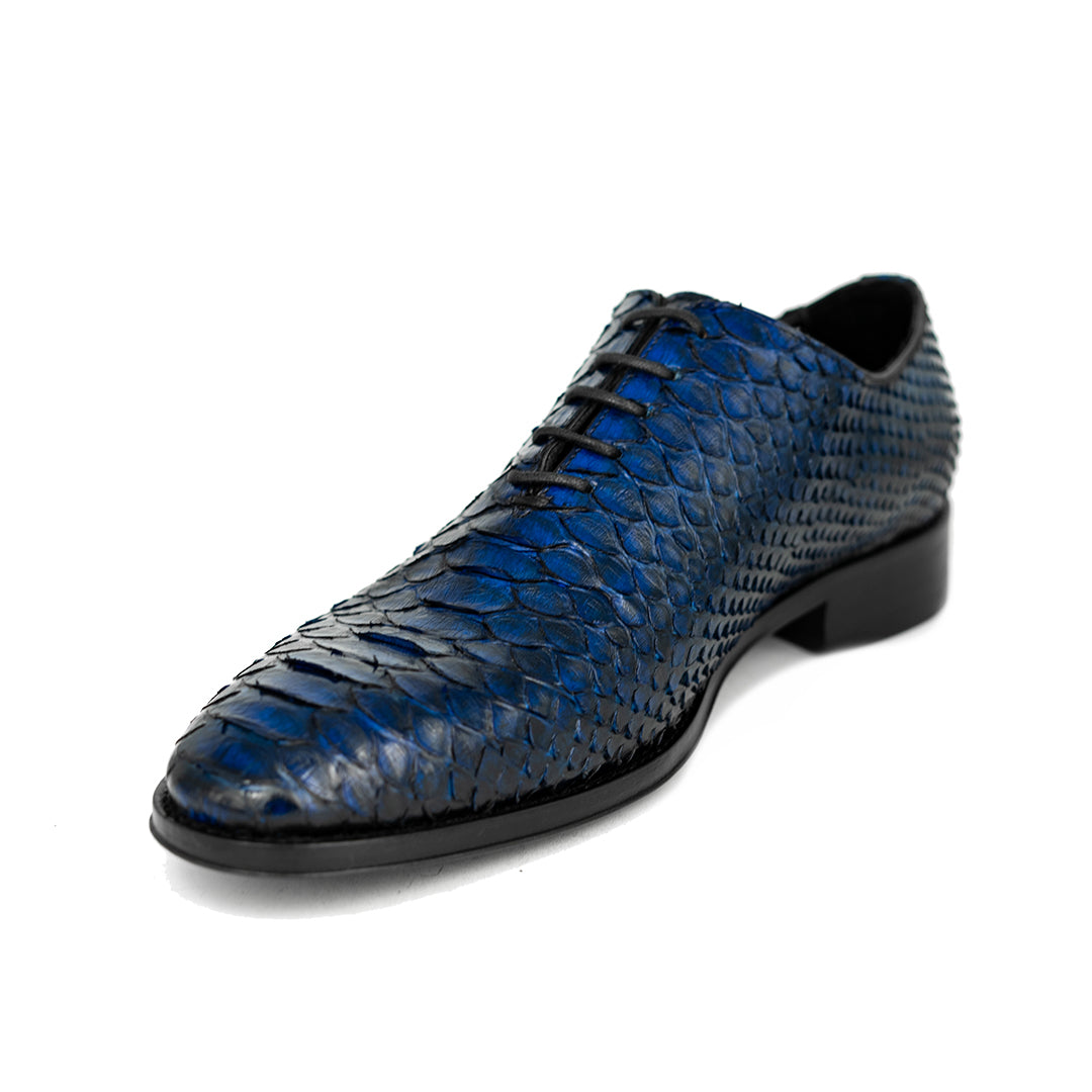 BLUE PYTHON HUGO