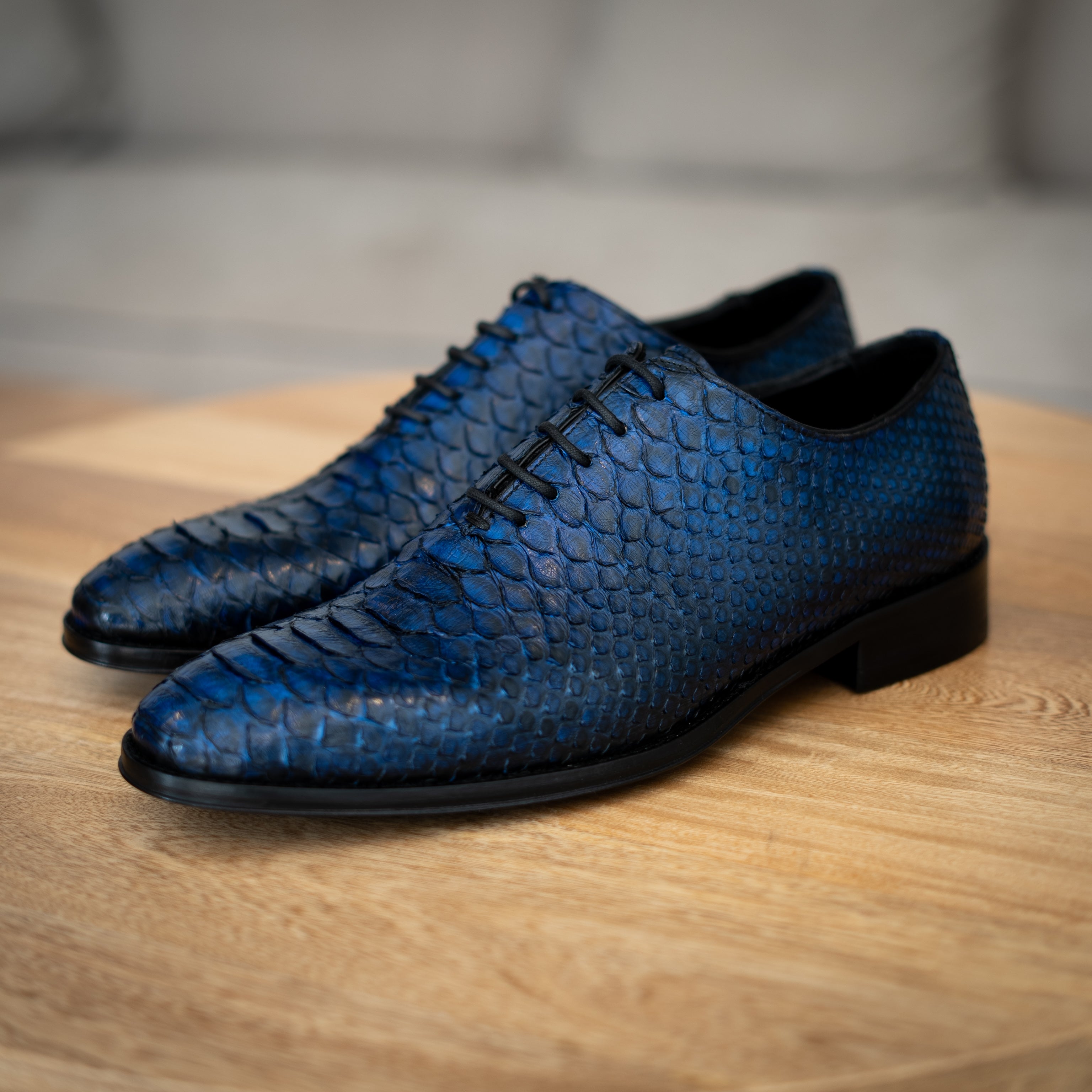 BLUE PYTHON HUGO