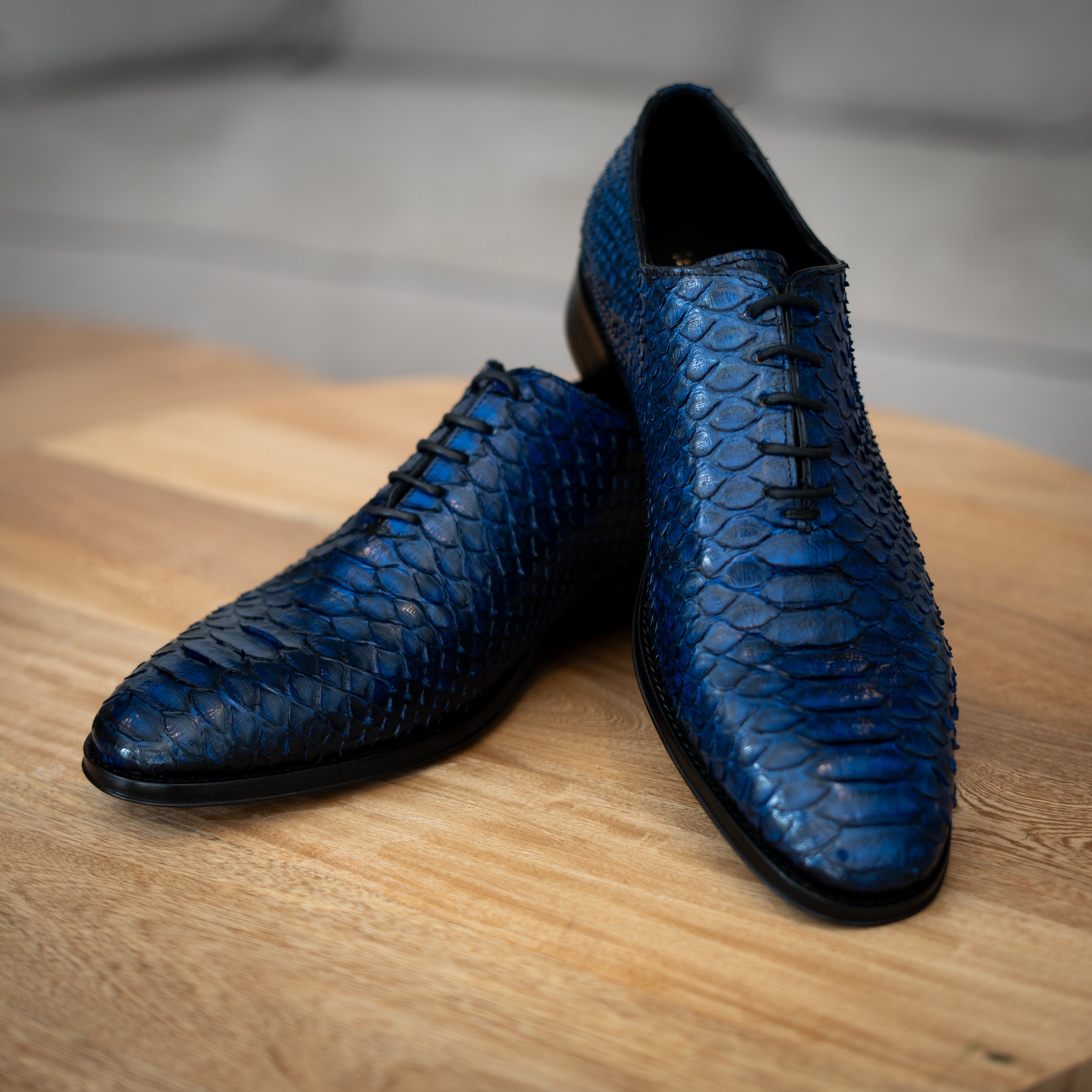 BLUE PYTHON HUGO